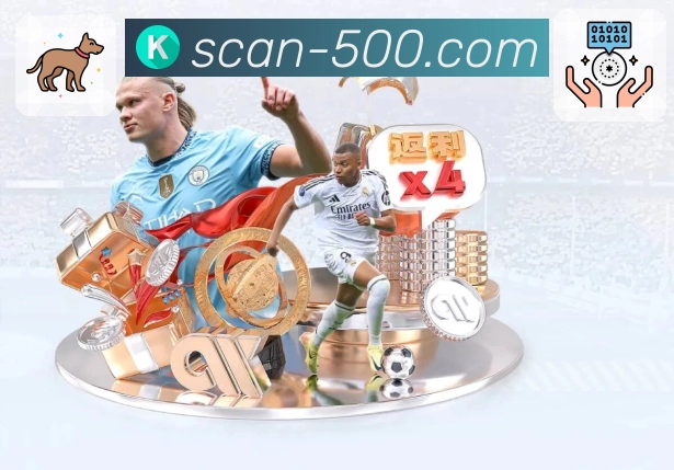 我们提供的服务